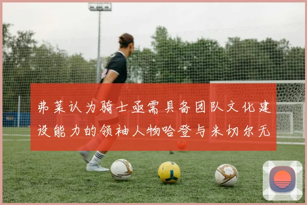 弗莱认为骑士亟需具备团队文化建设能力的领袖人物哈登与米切尔无法胜任